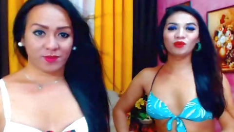 Shav flirtatiow shlong gets fucked by a fat cock