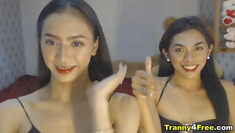 Hairy pussy and aur addits